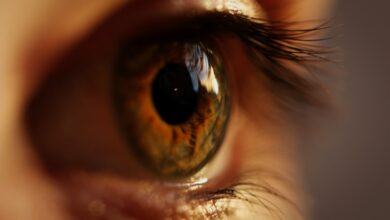Zoom sur l'iris d'un oeil humain.