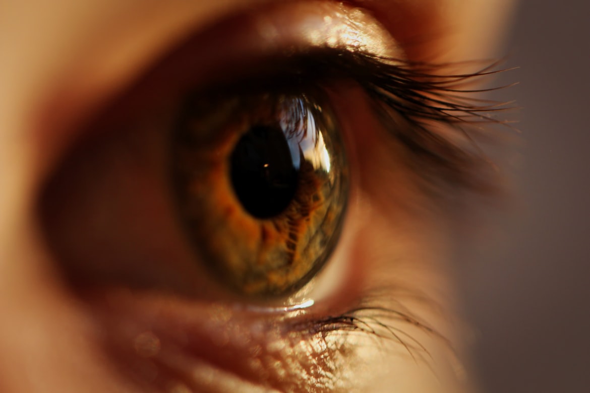 Brite erhält erstes 3D-gedrucktes Auge