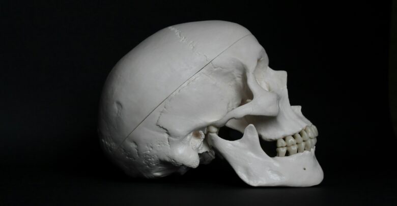 L'étude d'un crâne montre que les Egyptiens anciens tentaient de traiter le cancer.