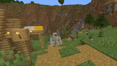 Minecraft